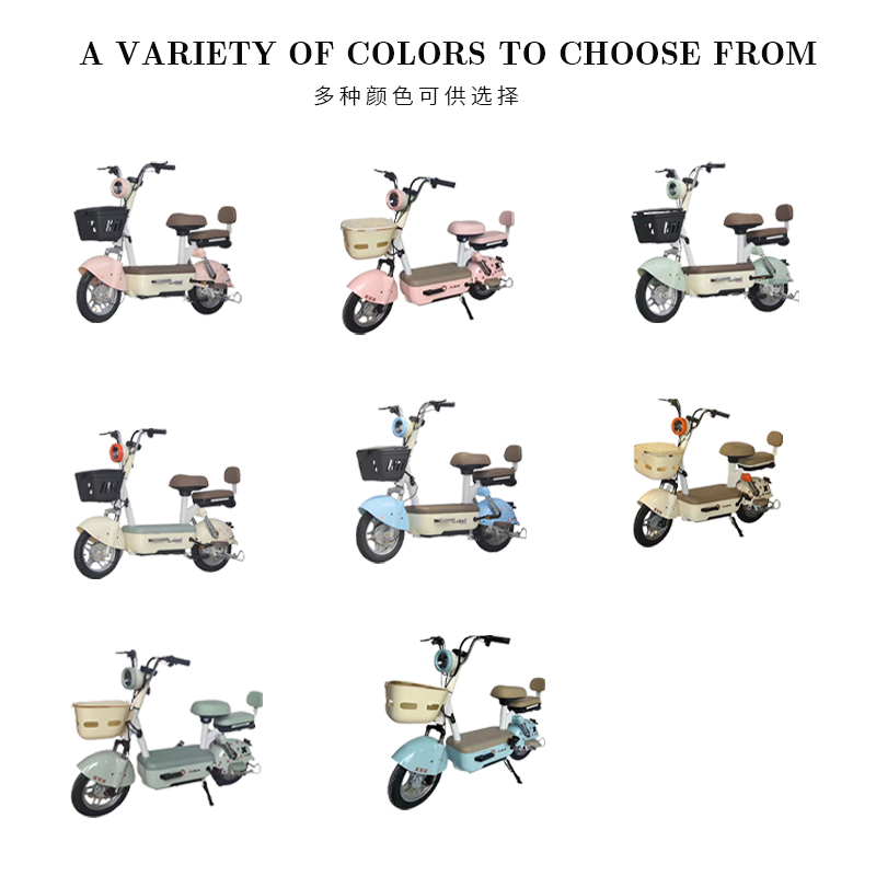 Electric City Bike-YYZ