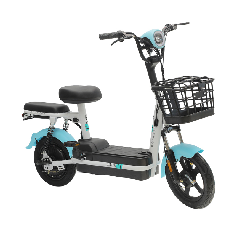Electric City Bike-XWZ