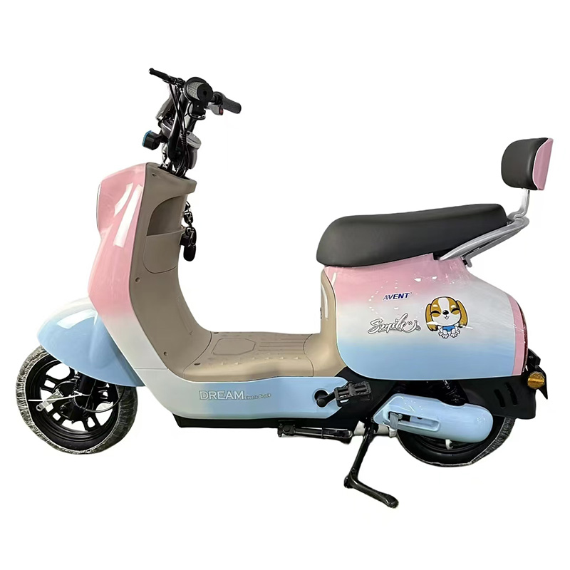 Q8 Electric City Bike - 350W/500W Motor, 48v Battery 