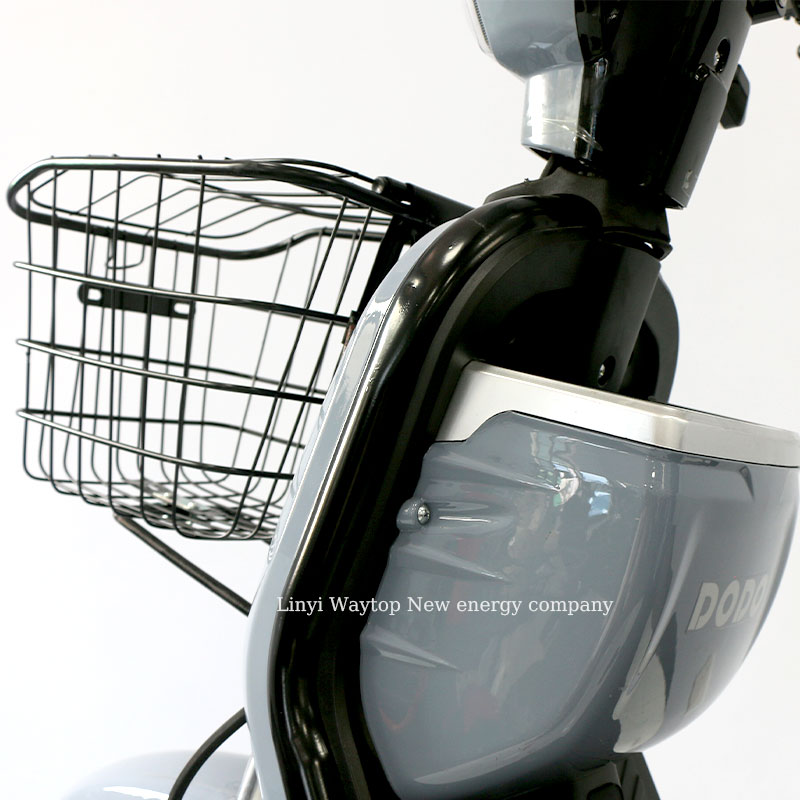 MJ Electric City Bike | Foldable Rear Seat & Cargo Rack for Urban Commuting