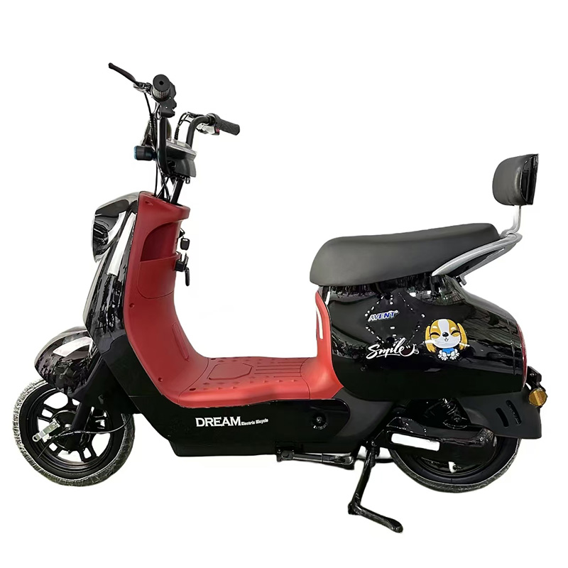 Q8 Electric City Bike - 350W/500W Motor, 48v Battery 
