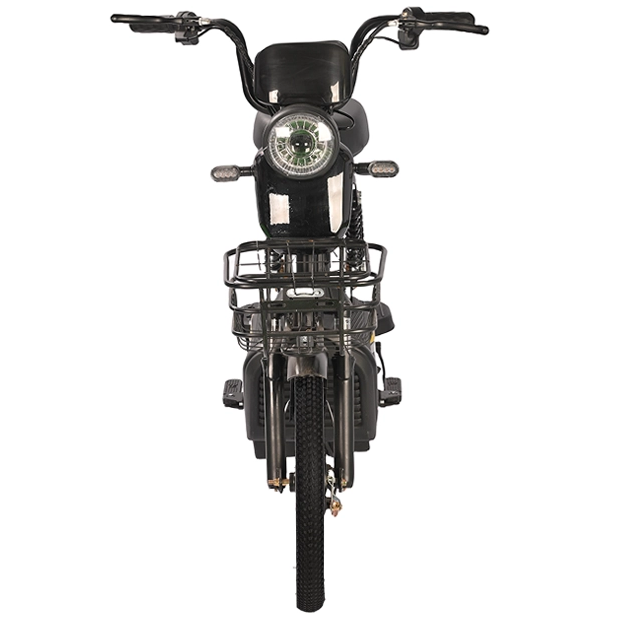 ZYF 500W Electric Bike with LED Headlight & Jumbo Basket