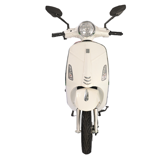 TSL 1000W Electric Scooter - High Carbon Steel Frame, 48V Battery, 45km/h Max Speed, Stylish Design
