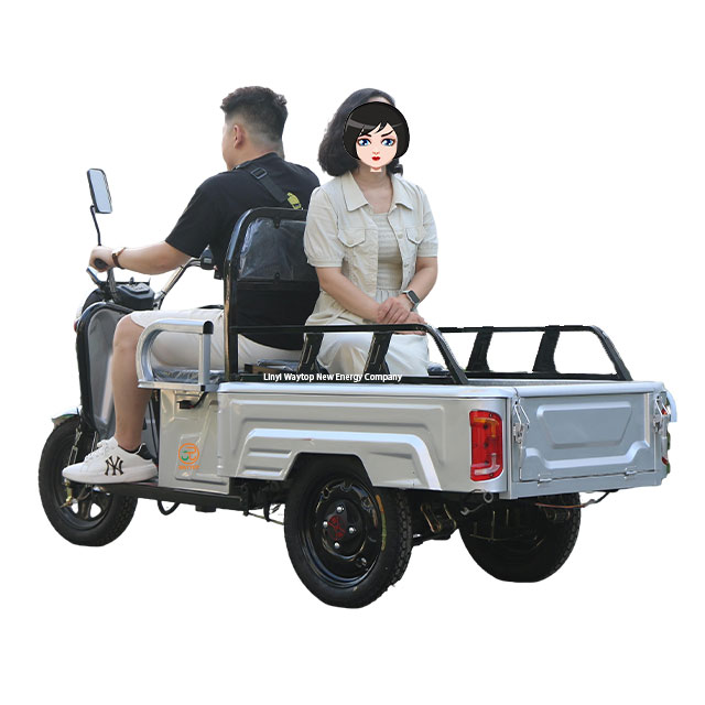 PBSL 800W 48V/60V Heavy - Duty Electric Tricycle for Cargo and Passenger