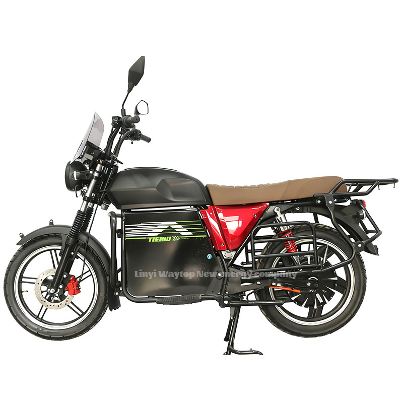 DTN High-Speed Electric Motorcycle - Multi-Person Seating, Large Tires, Powerful Motor