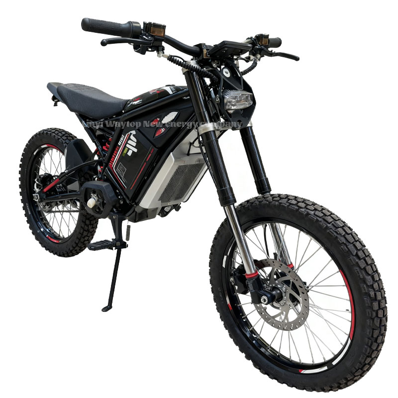 DMZ Electric Motorcycle: High-Performance Off-Road E-Motorbike with 35° Climbing & 50km/h Speed