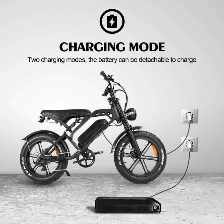 N1 1000W Lithium Battery Electric Mountain Bike with Double Oil Disc Brake