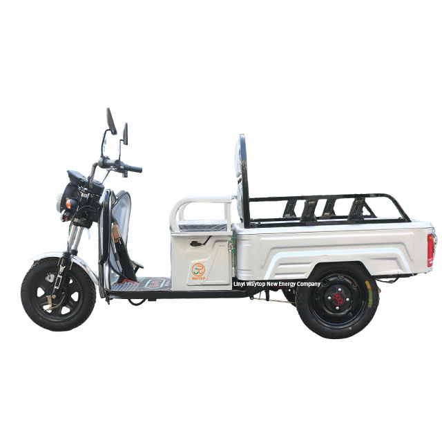 PBSL 800W 48V/60V Heavy - Duty Electric Tricycle for Cargo and Passenger
