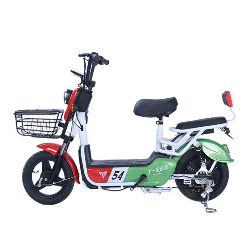 Electric Commuter Bike with Detachable Battery