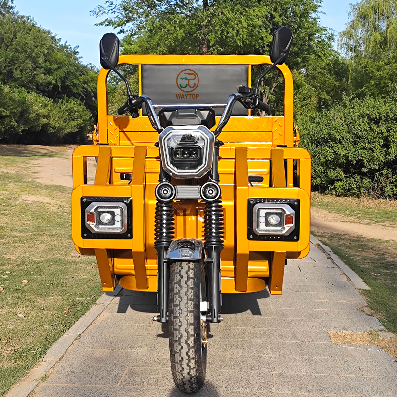 2000W Electric Cargo Tricycle for Self-Unloading Transport