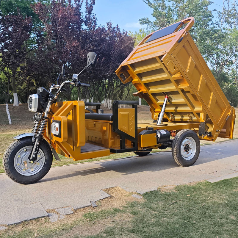 Cargo-tricycle