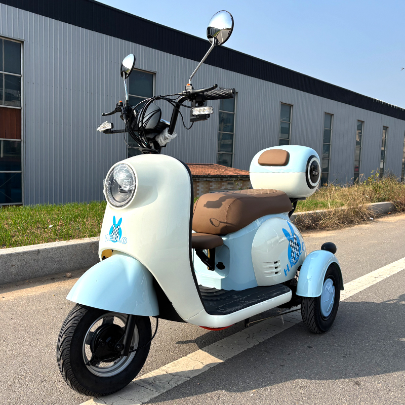 V1 Electric Tricycle | 3-Wheel Mobility Scooter with Baby Seat, Suitable for Adults and Families