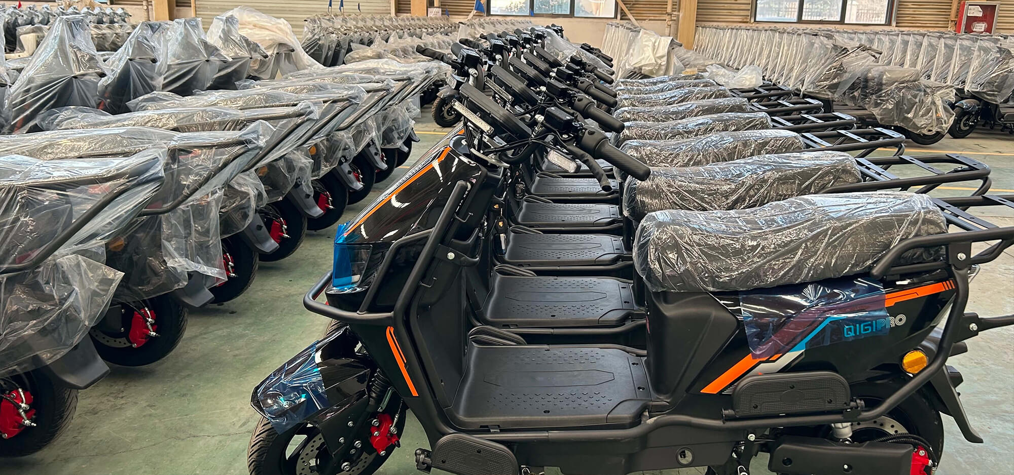 Production & Workforce - Electric Vehicle Manufacturer with 200+ Employees & Multiple Production Lines