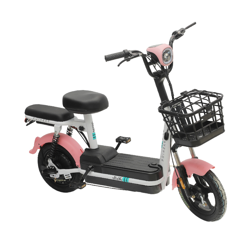 Electric City Bike-XWZ
