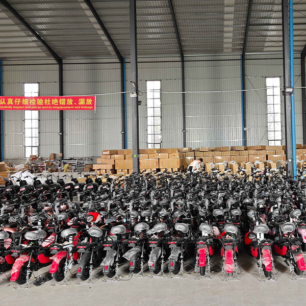 Affordable and cost-effective electric vehicles