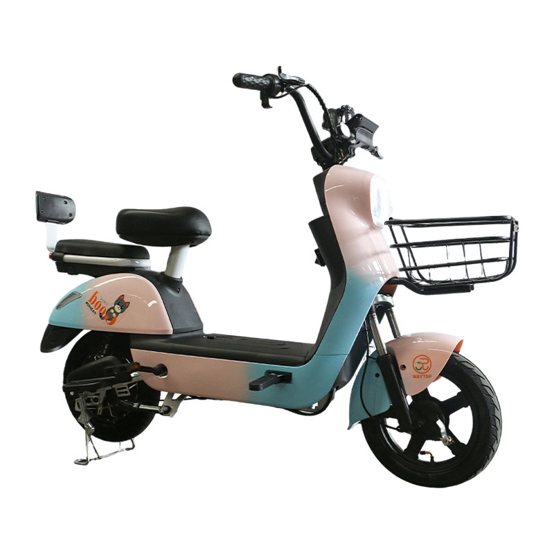 HN 350W 48V Electric City Bike with Drum Brake