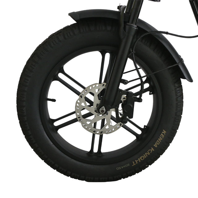 ZJ 1000W Lithium Battery Electric Mountain Bike with Double Oil Disc Brake