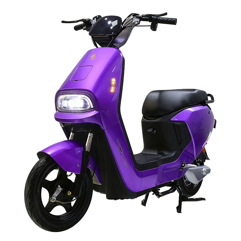 Electricmotorcycle WL - Long Battery Life High-Definition Display Urban Commuter E-Bike