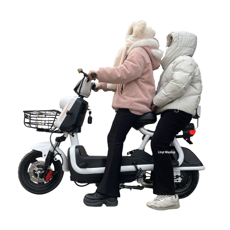 DLS Electric Bike | Long Battery Life & High Penetration Headlights Urban Commuter E-Bike