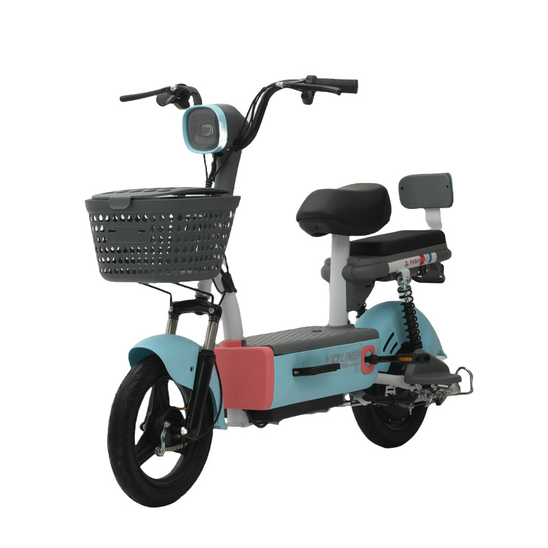 Modern Multi - Color Electric City Bike with Jumbo Basket & LCD Display