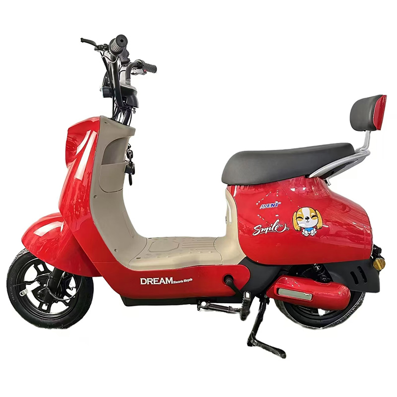 Q8 Electric City Bike - 350W/500W Motor, 48v Battery 