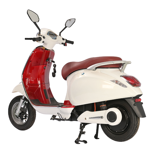 TSL 1000W Electric Scooter - High Carbon Steel Frame, 48V Battery, 45km/h Max Speed, Stylish Design