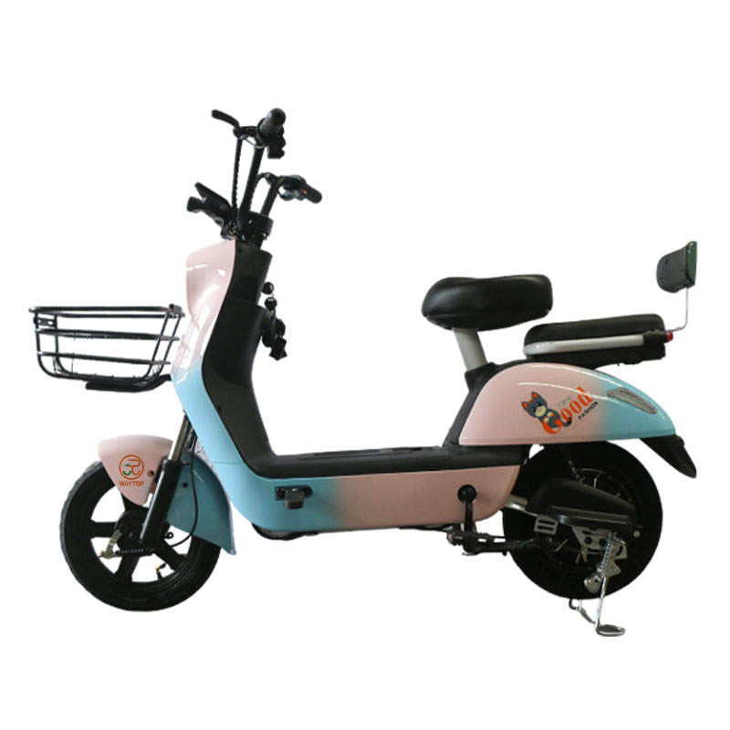 HN 350W 48V Electric City Bike with Drum Brake