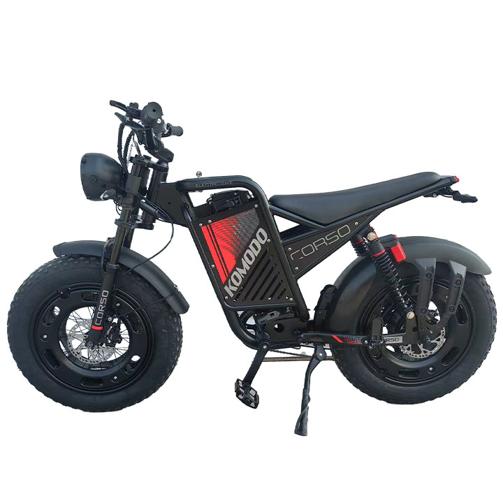 ZJ 1000W Lithium Battery Electric Mountain Bike with Double Oil Disc Brake