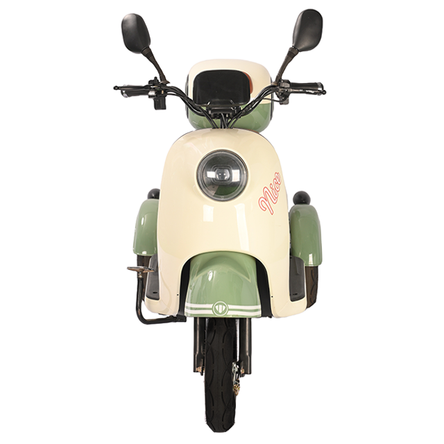 V1 650W 48V/60V Electric Tricycle with Comfortable Seat & Foldable Child Seat