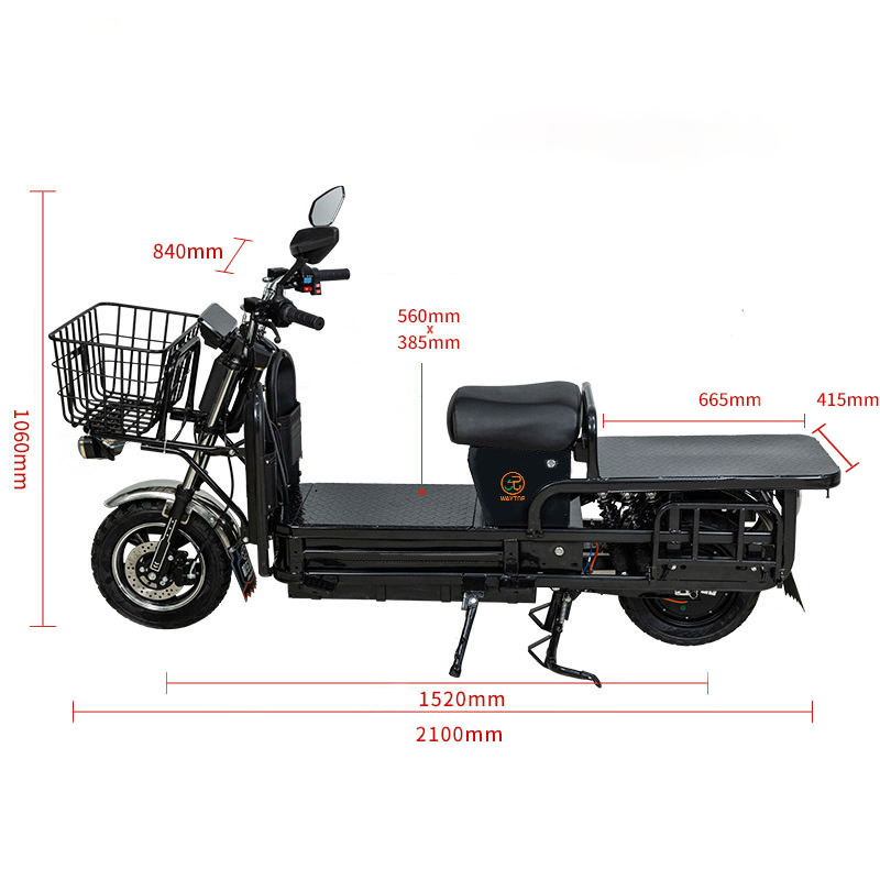 ZZW Cargo Electric Motorcycle | 800-900KG Load Capacity & Foldable Shelves