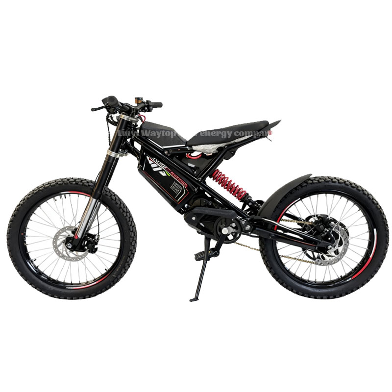 DMZ Electric Motorcycle: High-Performance Off-Road E-Motorbike with 35° Climbing & 50km/h Speed