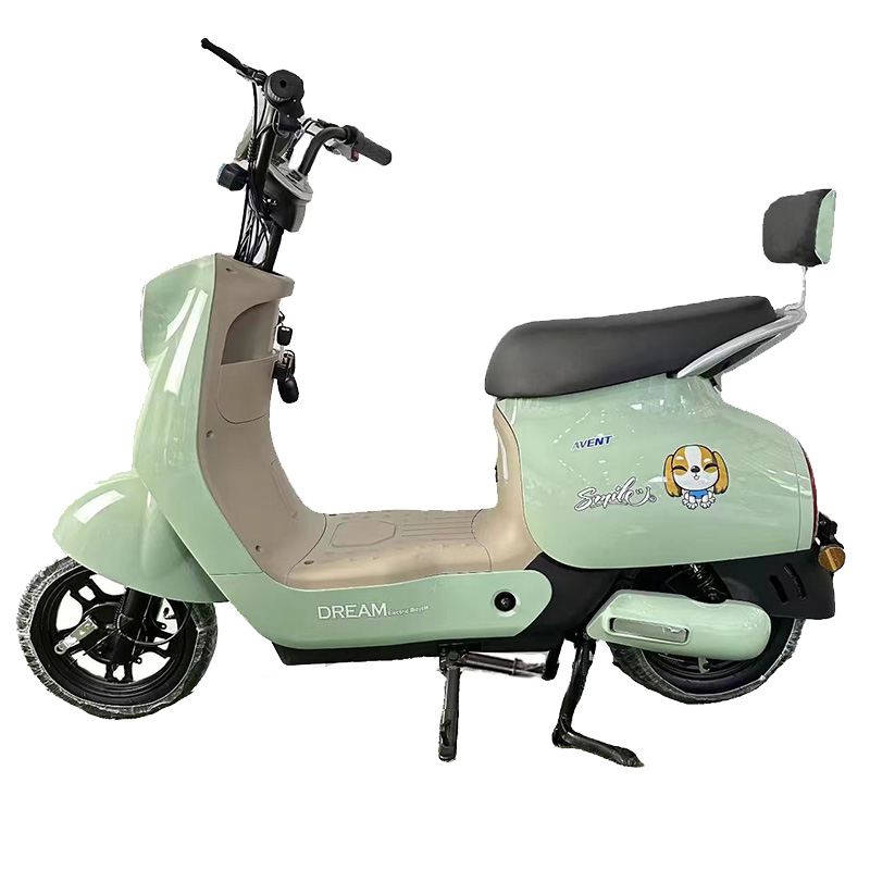 Q8 Electric City Bike - 350W/500W Motor, 48v Battery 