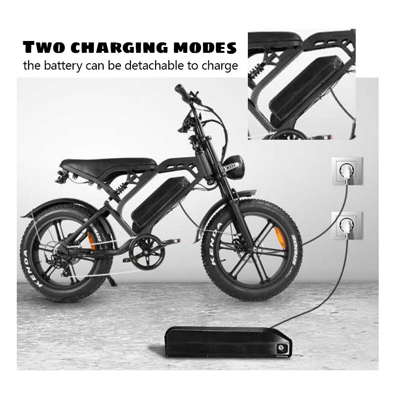 N1 1000W Lithium Battery Electric Mountain Bike with Double Oil Disc Brake