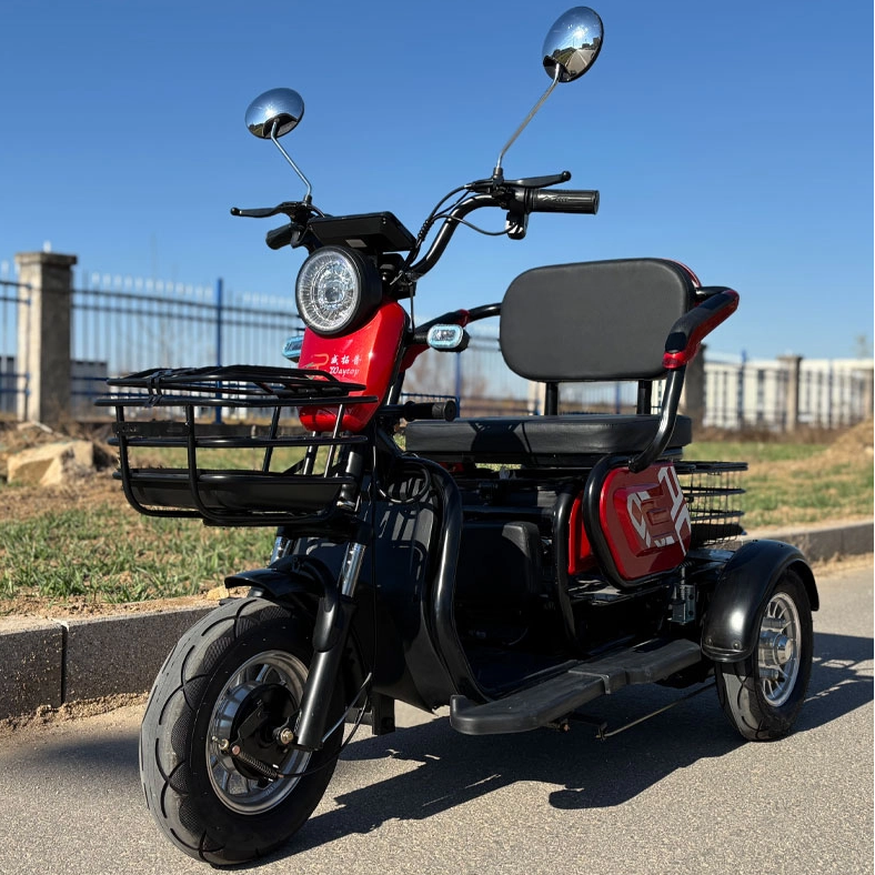 E-Trikes: Powering Last-Mile Deliveries in Brazil and Indonesia‌