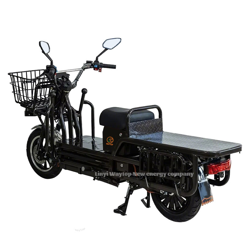ZZW Cargo Electric Motorcycle | 800-900KG Load Capacity & Foldable Shelves