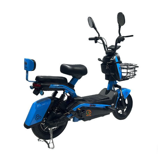 KZ 350W/500W 48V High - Performance Electric City Bike