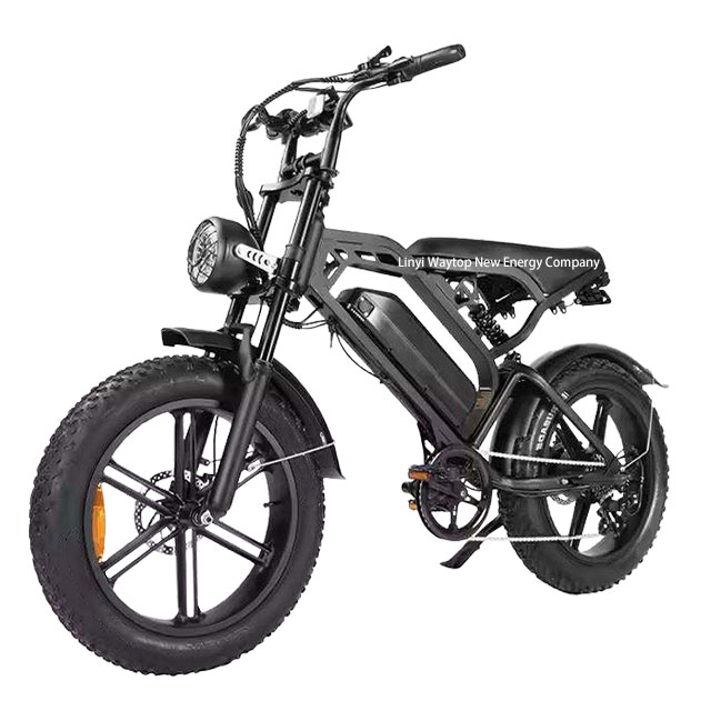 Black electric mountain bike, side view