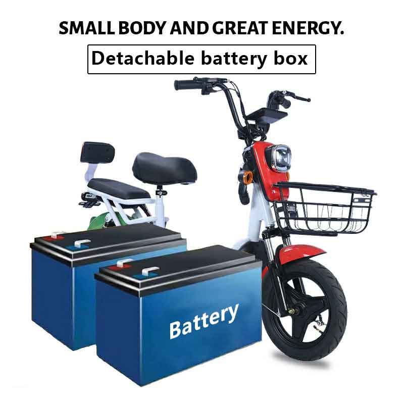 Electric Commuter Bike with Detachable Battery