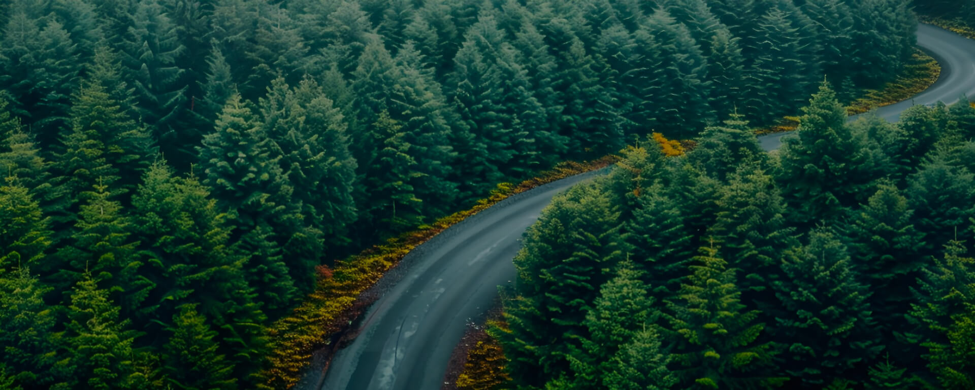 New Energy Electric Vehicles - Plug-in E-Bikes, Tricycles, Scooters & More | Sustainable Mobility Solutions