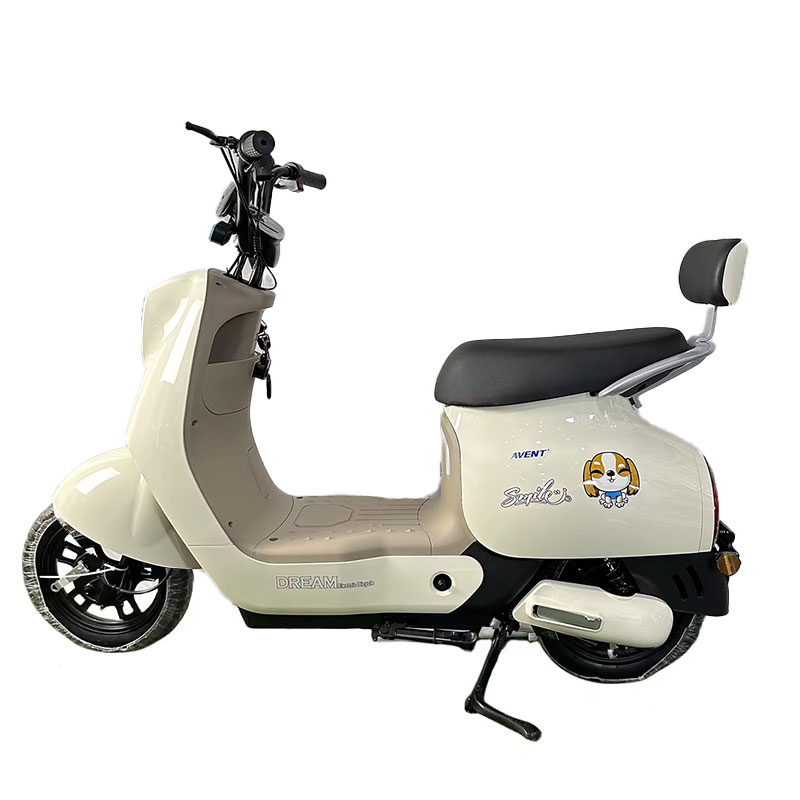 Q8 Electric City Bike - 350W/500W Motor, 48v Battery 