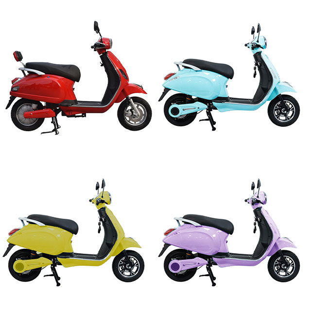TSL 1000W Electric Scooter - High Carbon Steel Frame, 48V Battery, 45km/h Max Speed, Stylish Design