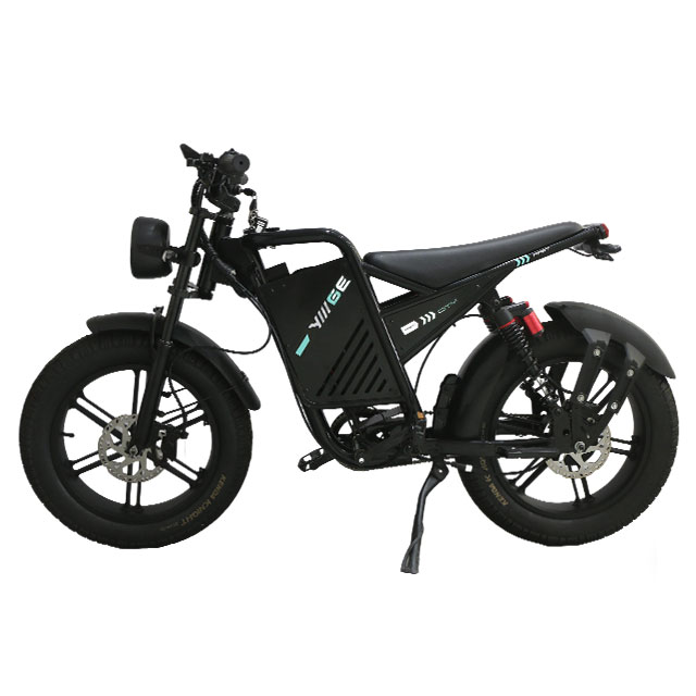 ZJ 1000W Lithium Battery Electric Mountain Bike with Double Oil Disc Brake