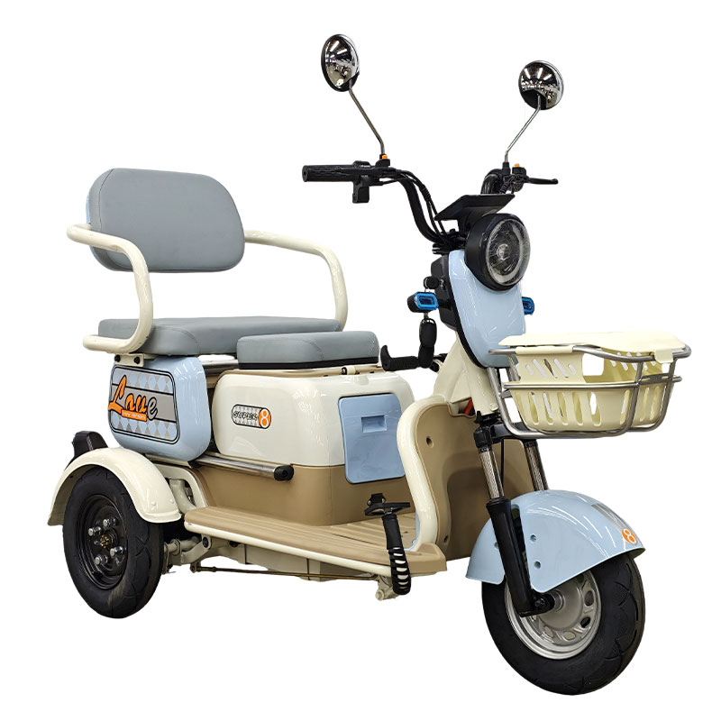 Family Electric Tricycle Steel Frame 3-Speed Lead-Acid Battery 48V 60V 600W/800W/1000W